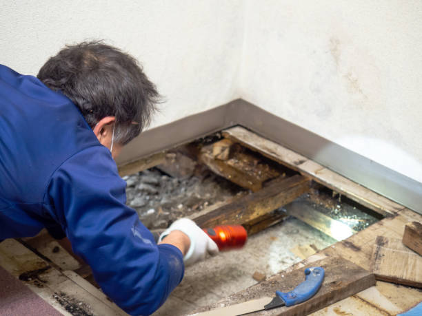 Best Crawl Space Mold Removal  in Thermopolis, WY