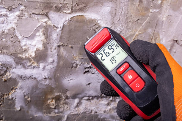 Best Mold Testing  in Thermopolis, WY