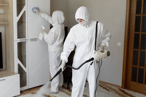 Attic Mold Removal in Thermopolis, WY