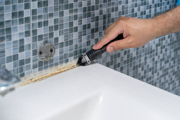 Best Mold Remediation  in Thermopolis, WY